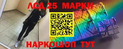 стаф Гатчина