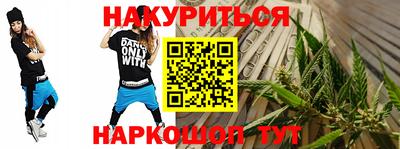 стаф Гатчина