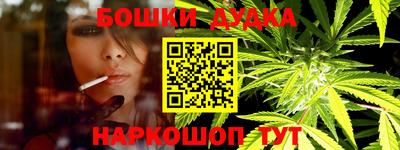 стаф Гатчина