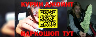 стаф Гатчина