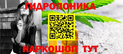 стаф Гатчина