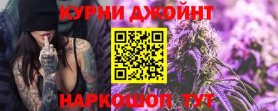 стаф Гатчина