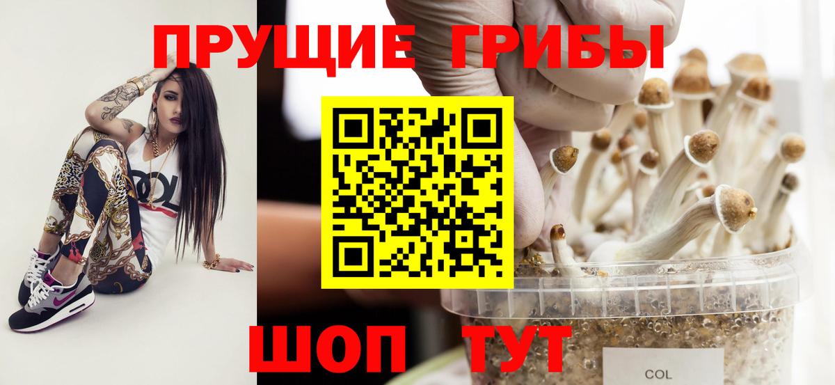 Галлюциногенные грибы Psilocybe  Вход с VPN  Ханты-Мансийск 